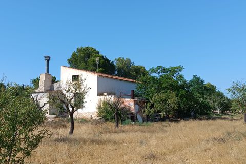 Landejendom i Yecla, Murcia, Yecla - € 195.000 | Ref: RP28 - foto 8